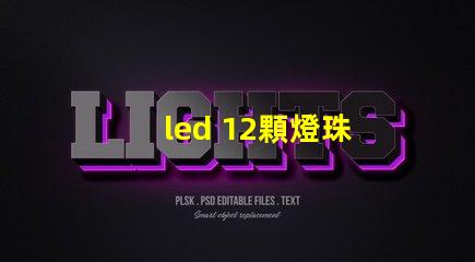 led 12顆燈珠